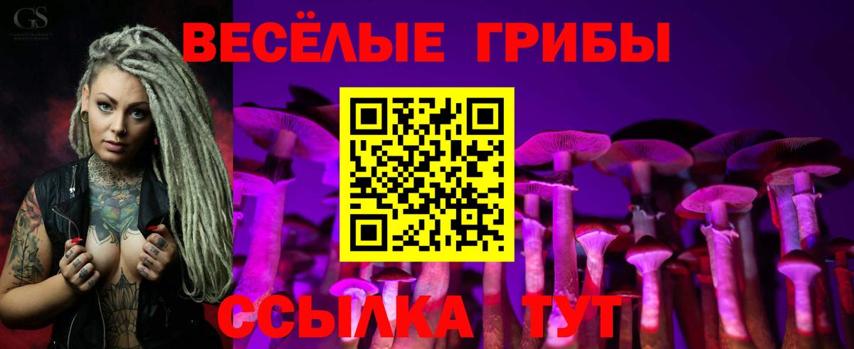Клинцы  Псилоцибиновые грибы Magic Shrooms  Вход с VPN 
